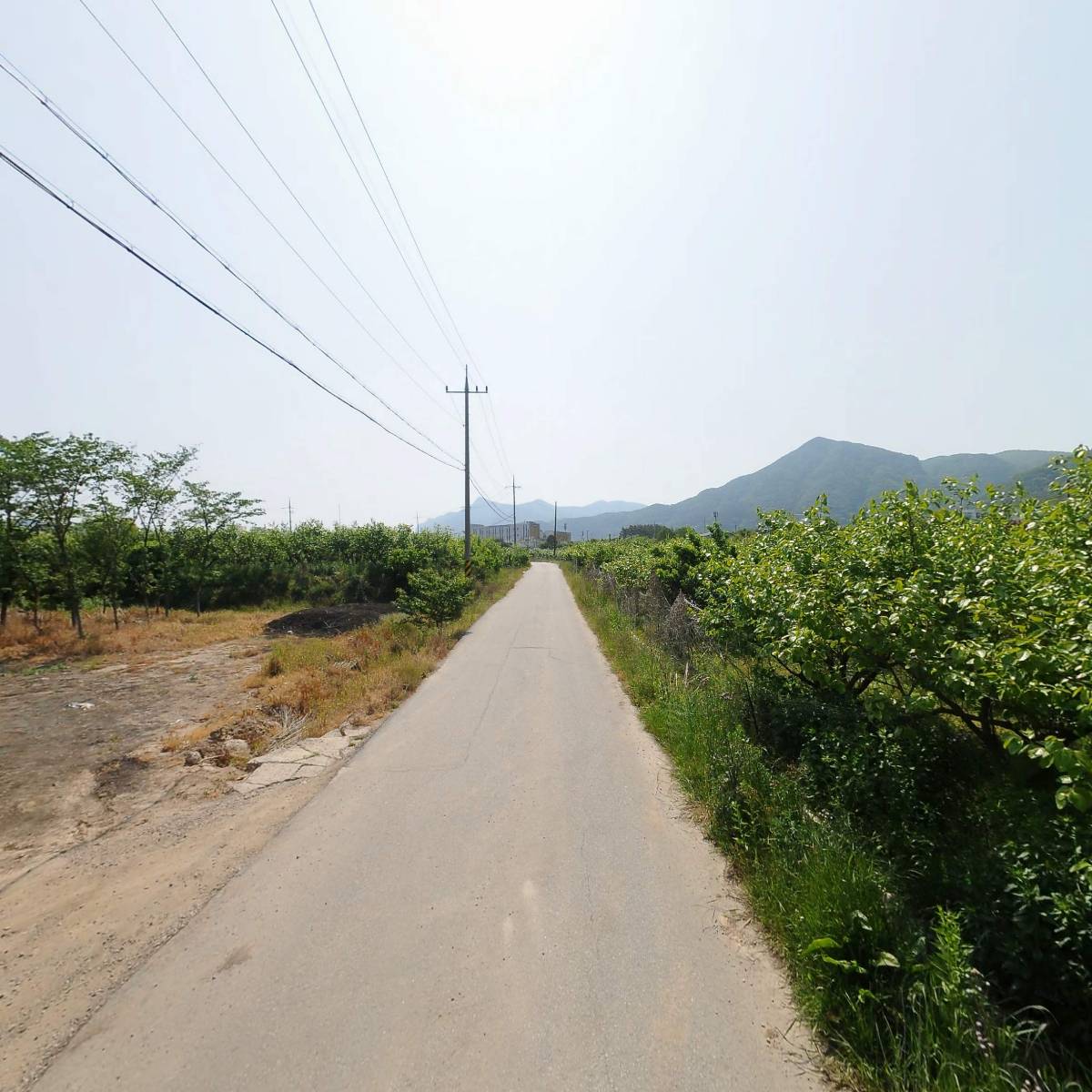 천지화농원_2