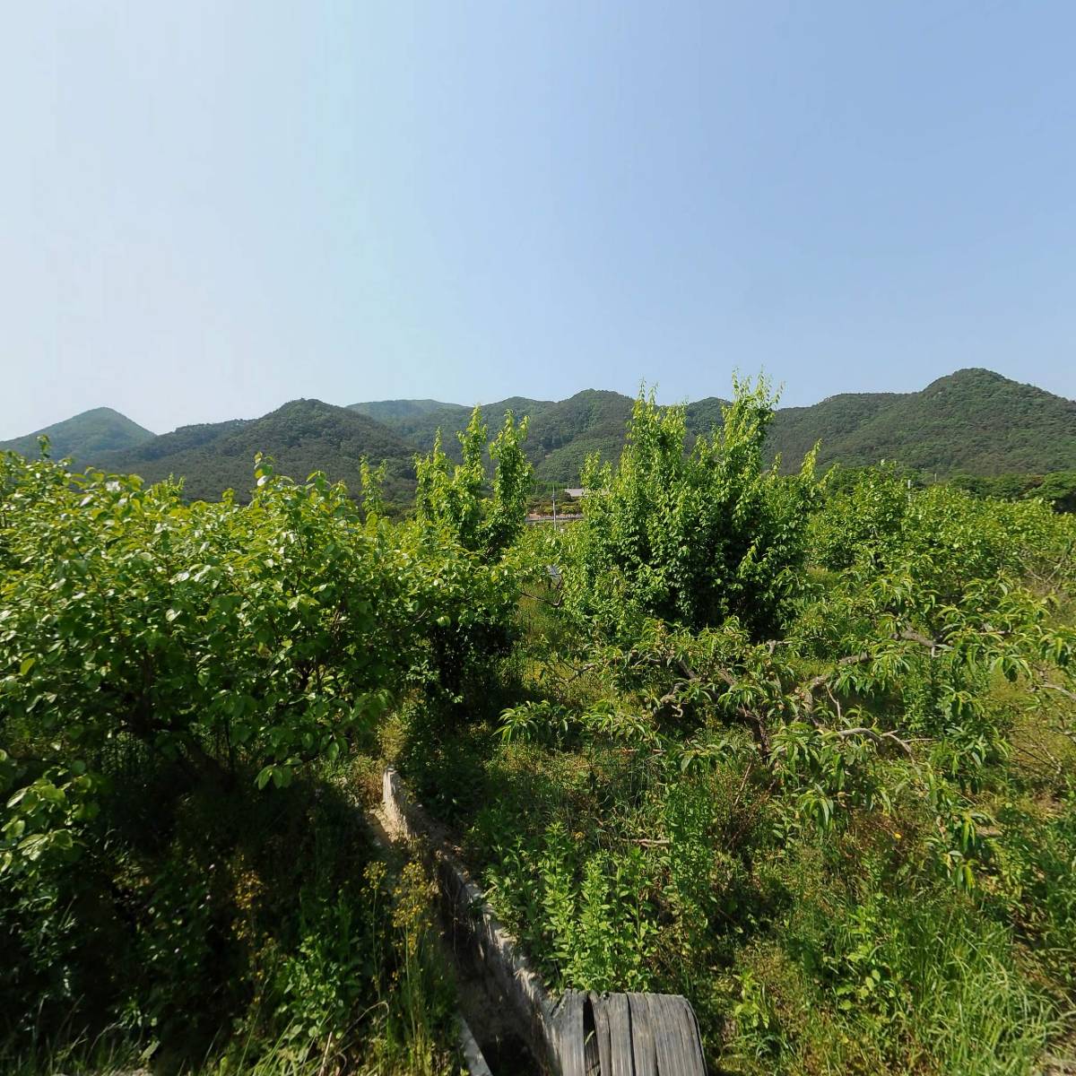 천지화농원_3