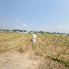 무둥농업회사법인(주)