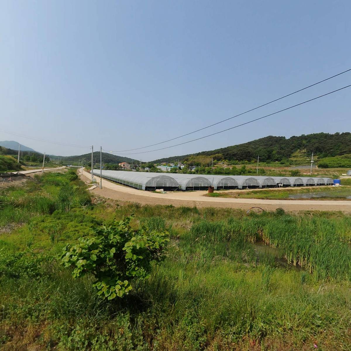 아이보리영농조합법인_3