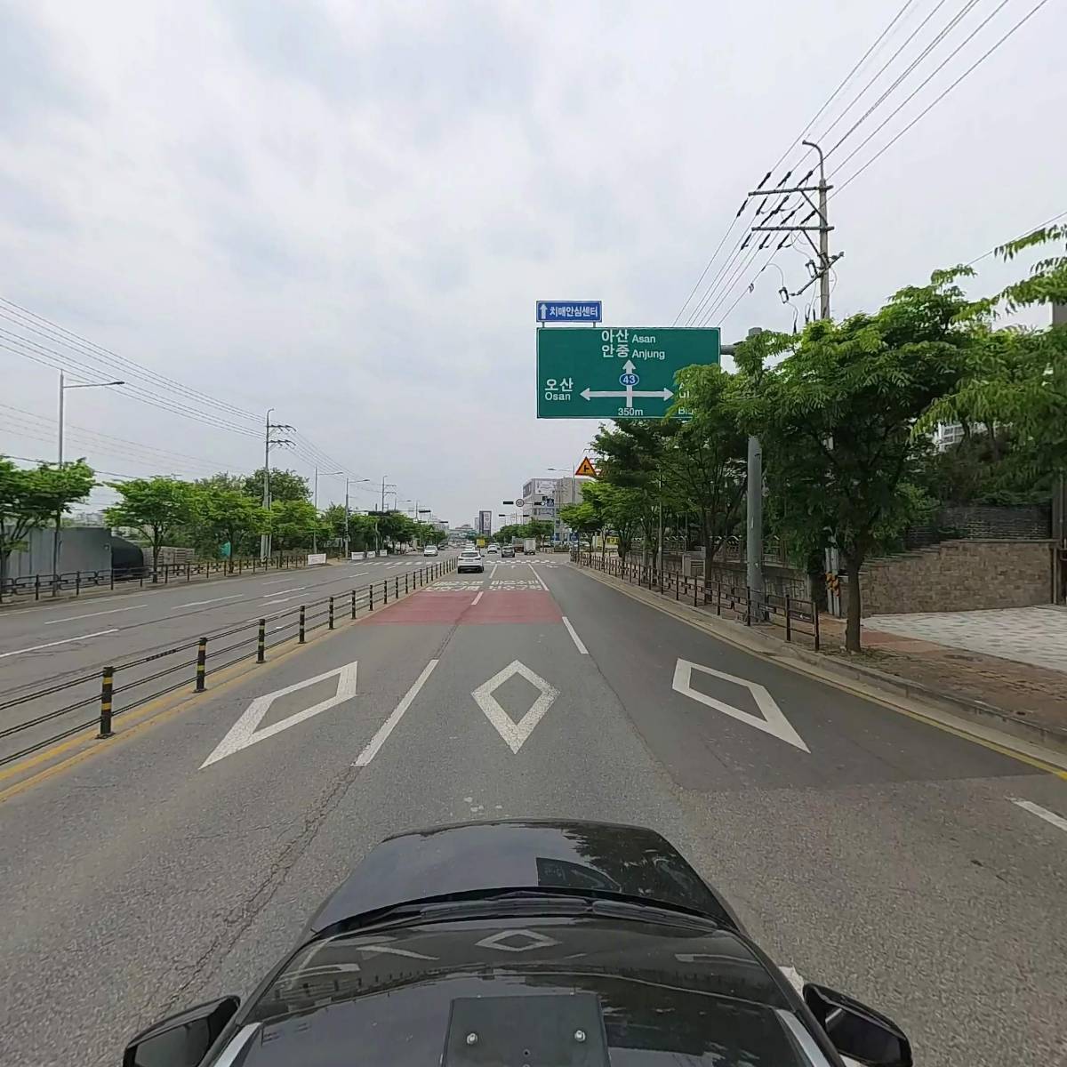 코코쥬쥬_4