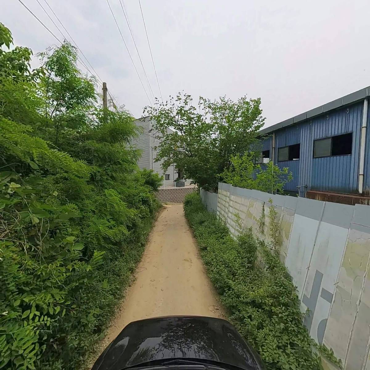 株式會社 巨峰 (주식회사 거봉)_4