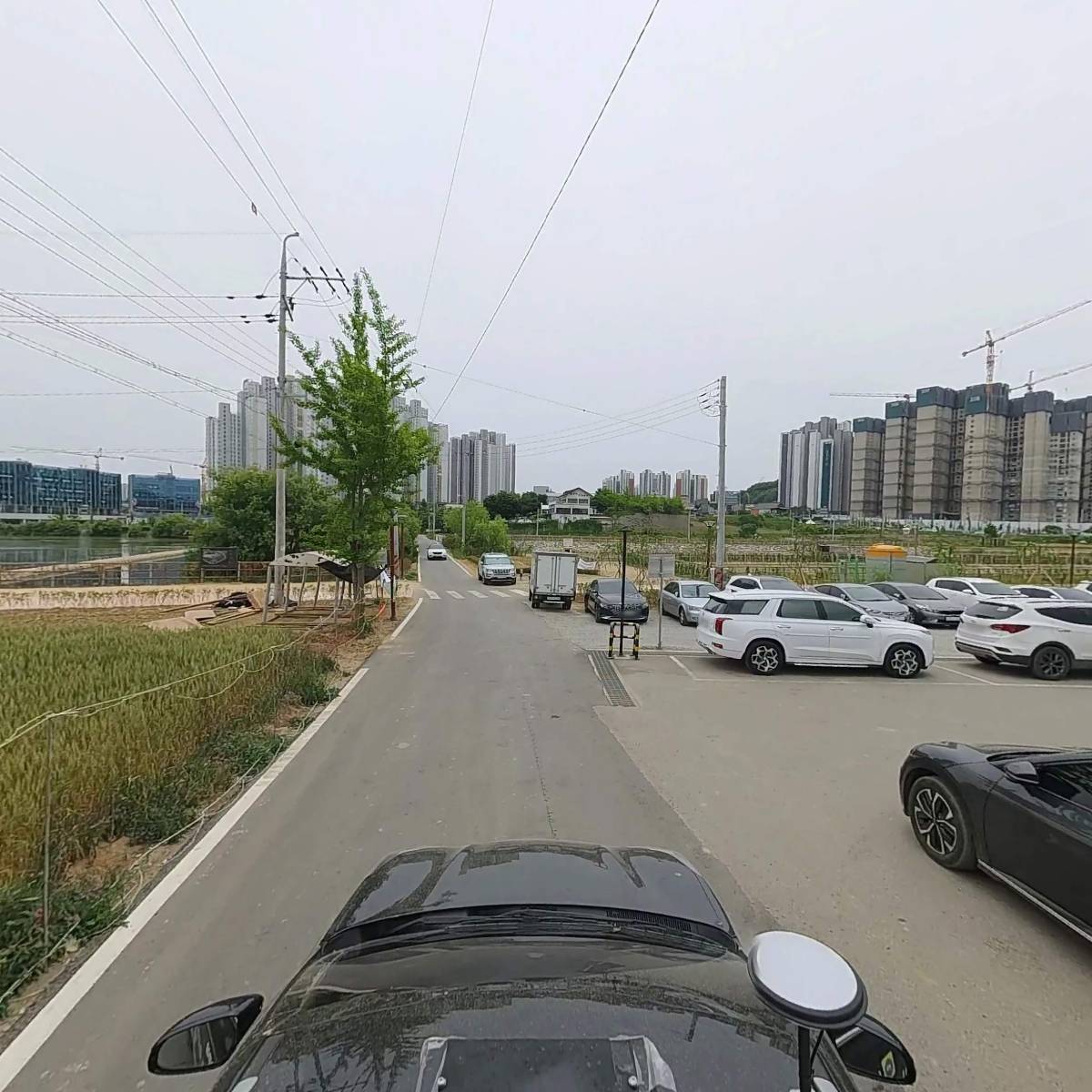 마젠타_4