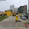 돼지꿈 꾸던날2