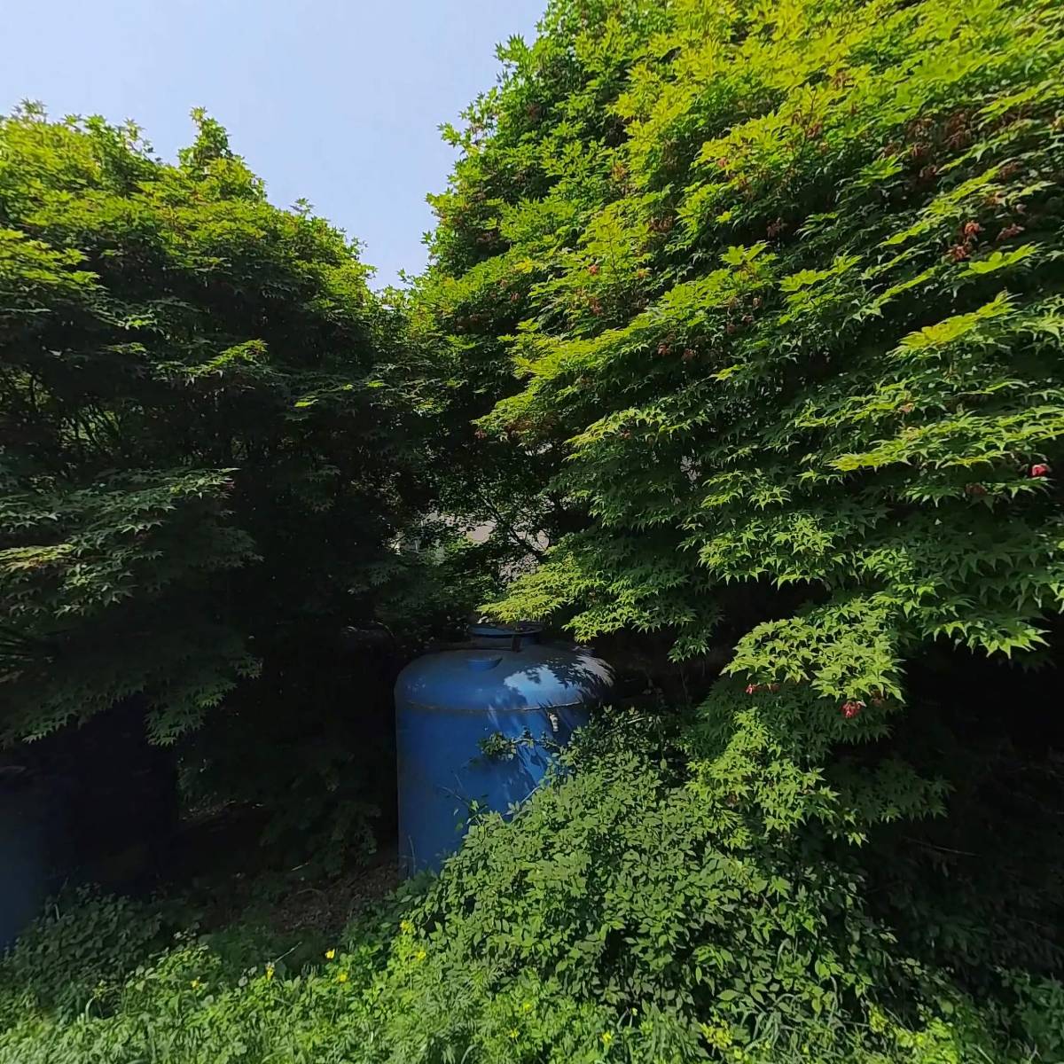 태영강건（주）