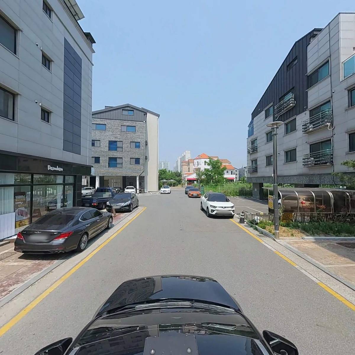 허니 플라밍고（Honey Flamingo）_4