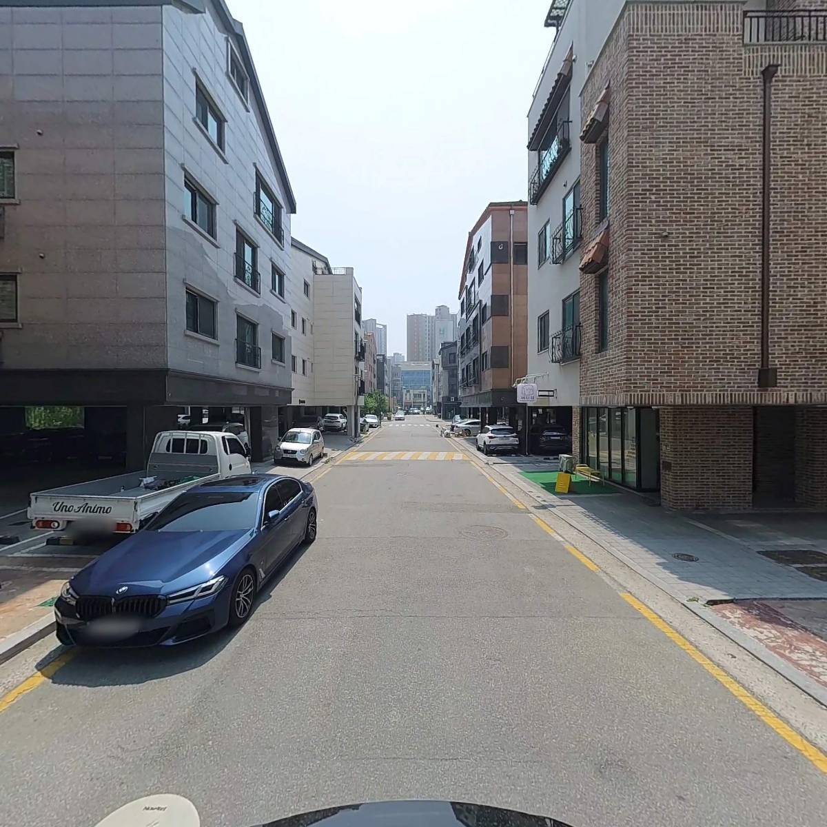 허니 플라밍고（Honey Flamingo）_2