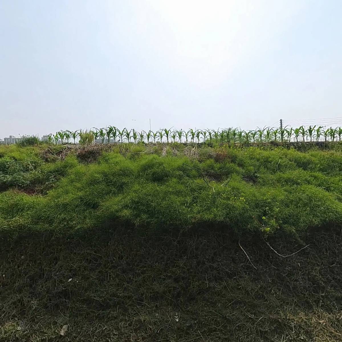 웅진고분자(주)