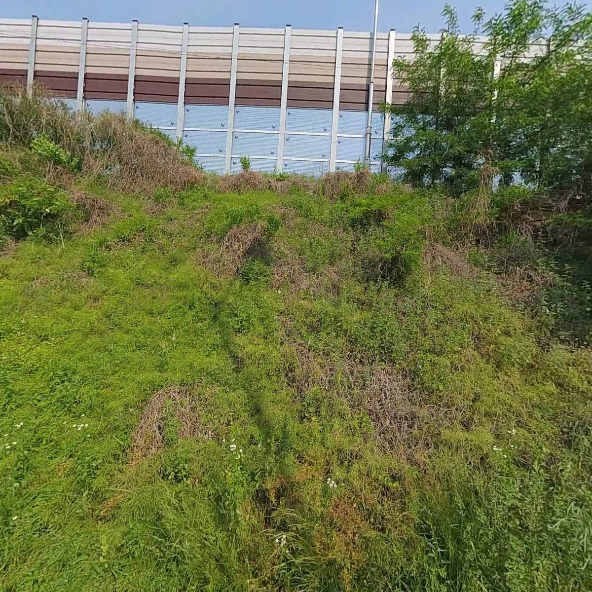 (주)쎄미런_3