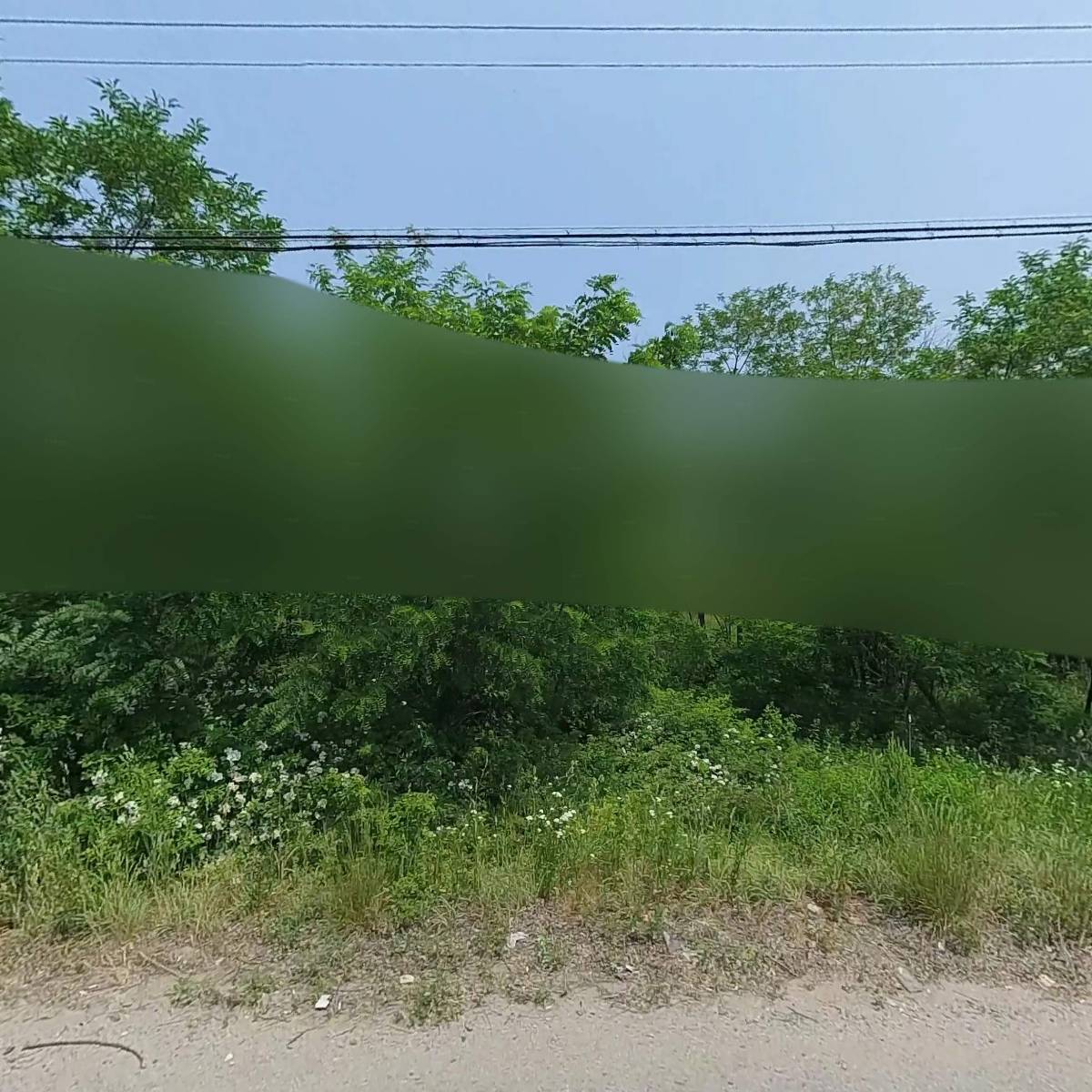 진영화학