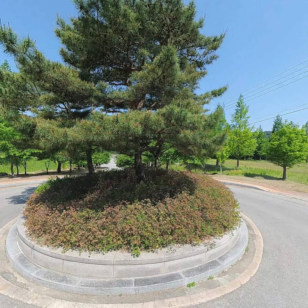 (주)라벡스 충청지사_3