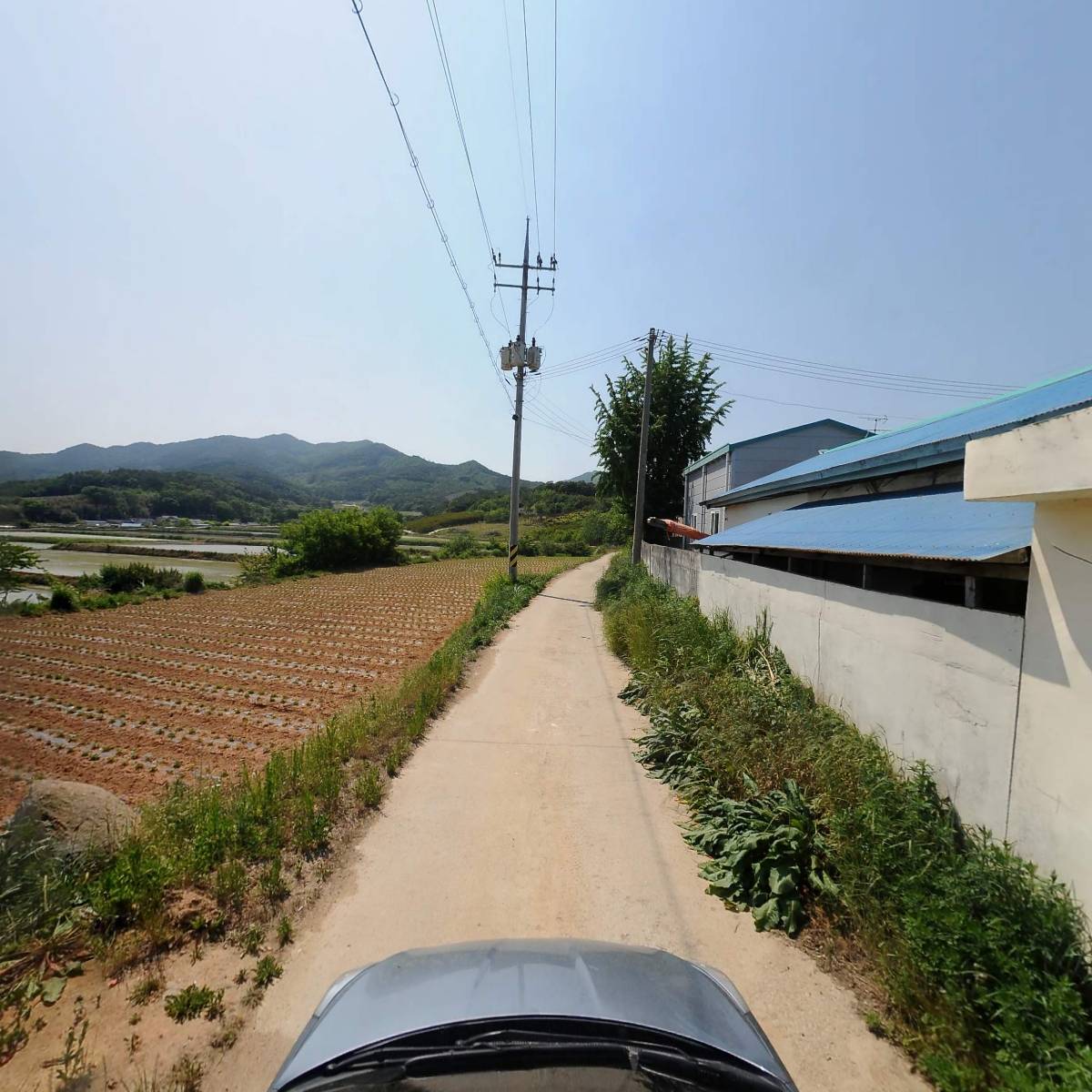 대성농협 땅콩가공사업소_4