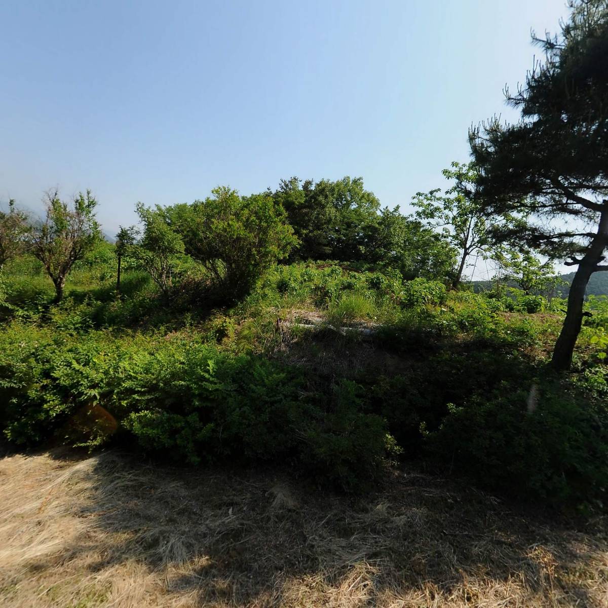 동이학교_3