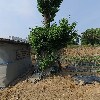 (주)에이치에스피앤엠_3