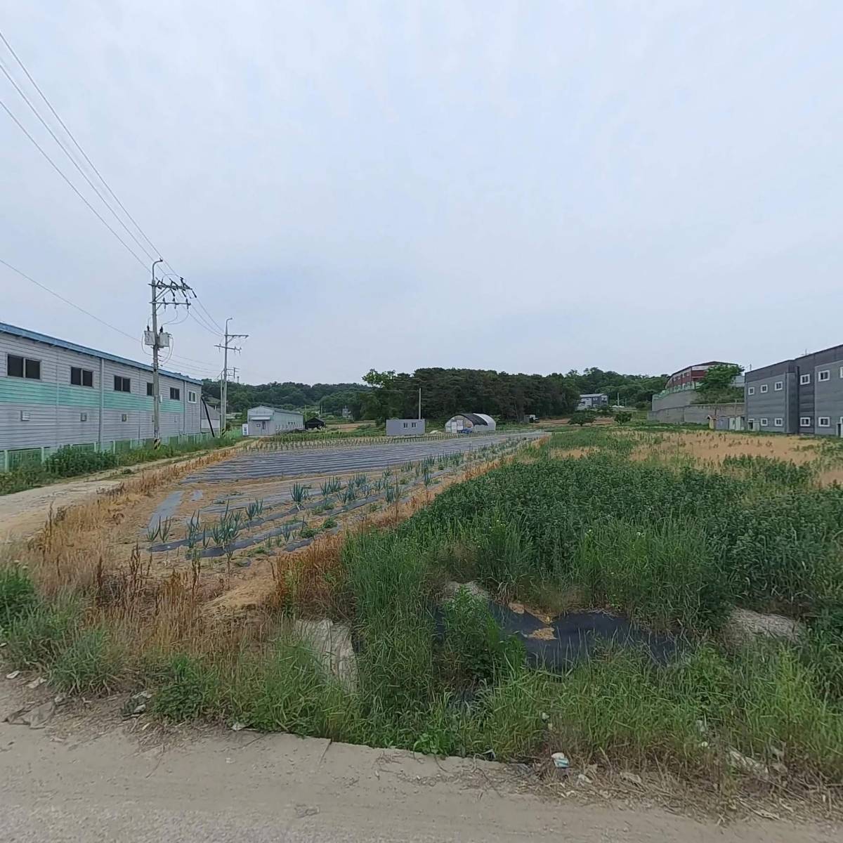 위즈테크놀로지_3