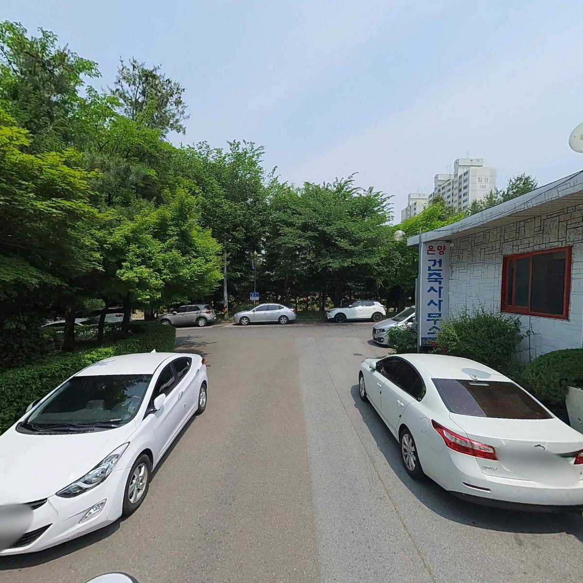 봄이오네_2