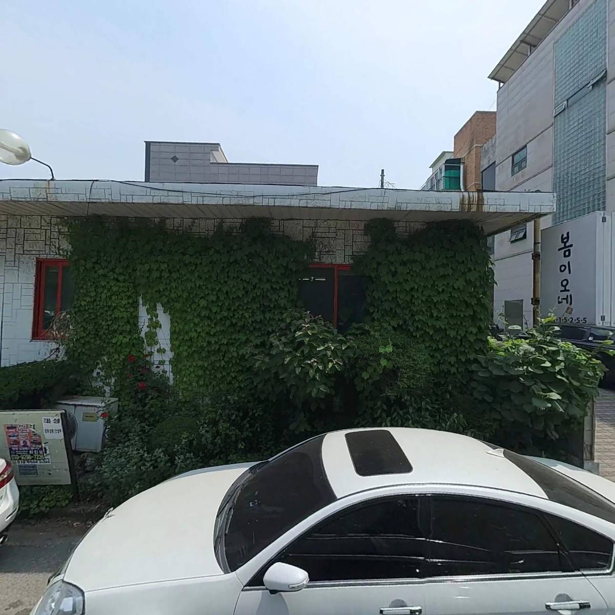 봄이오네_3