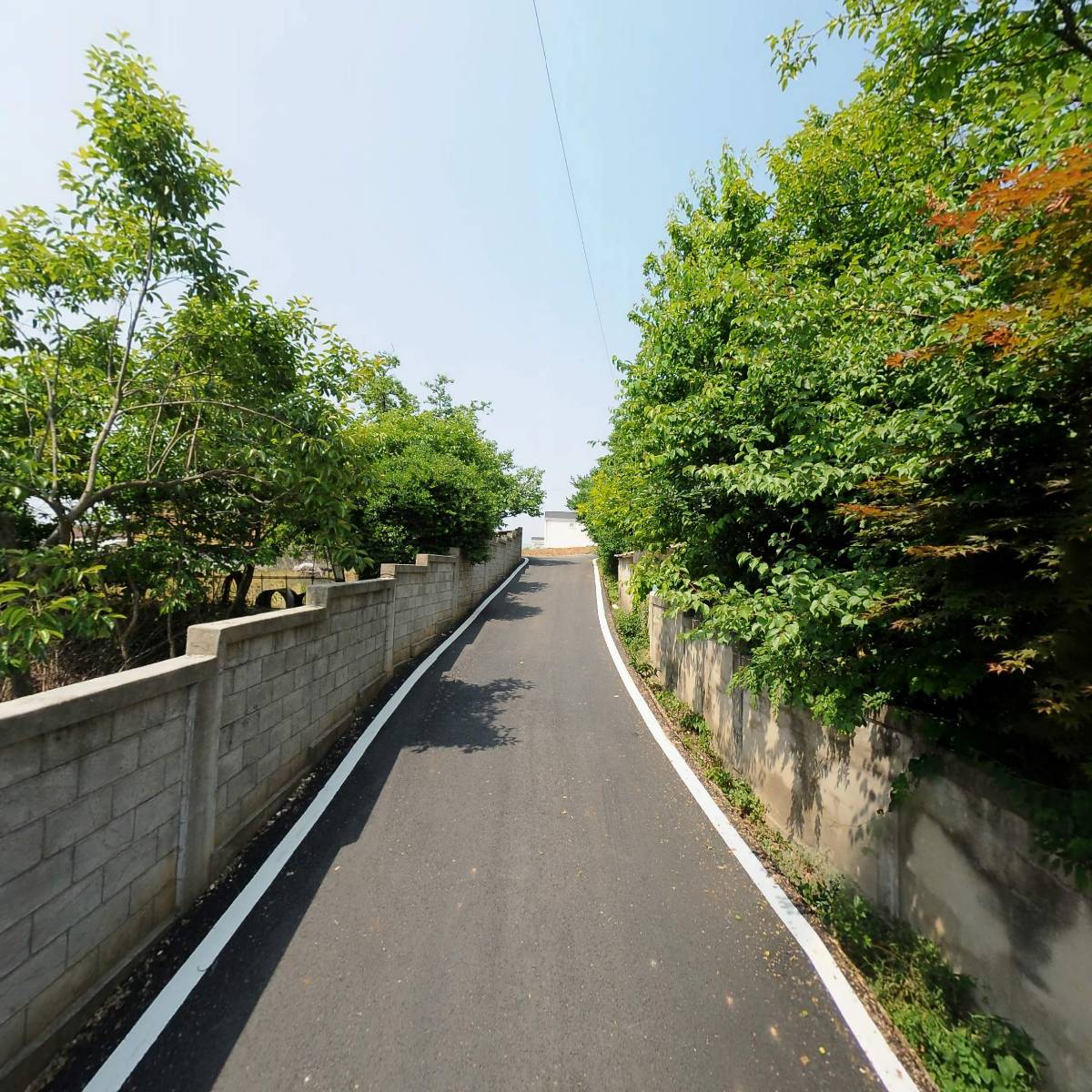 창녕조씨 덕정종회_2