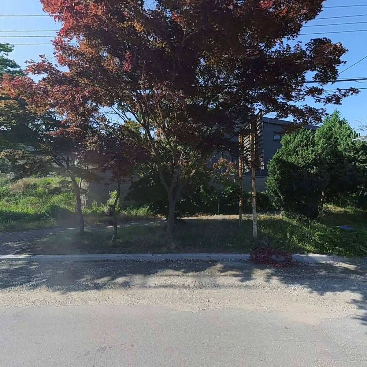 주식회사곰모터스