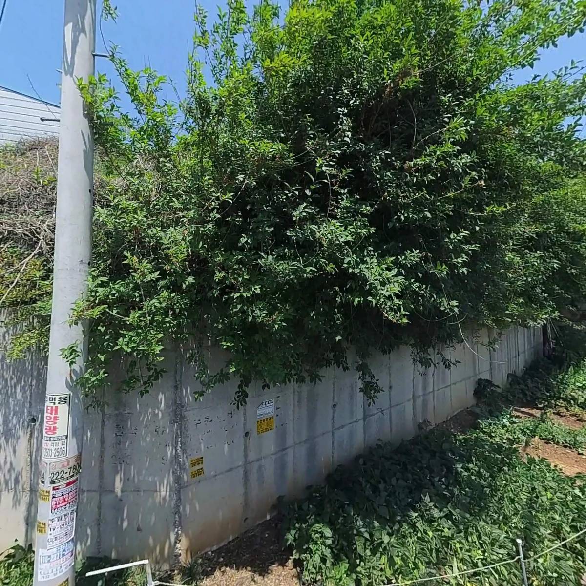 넥셀_3