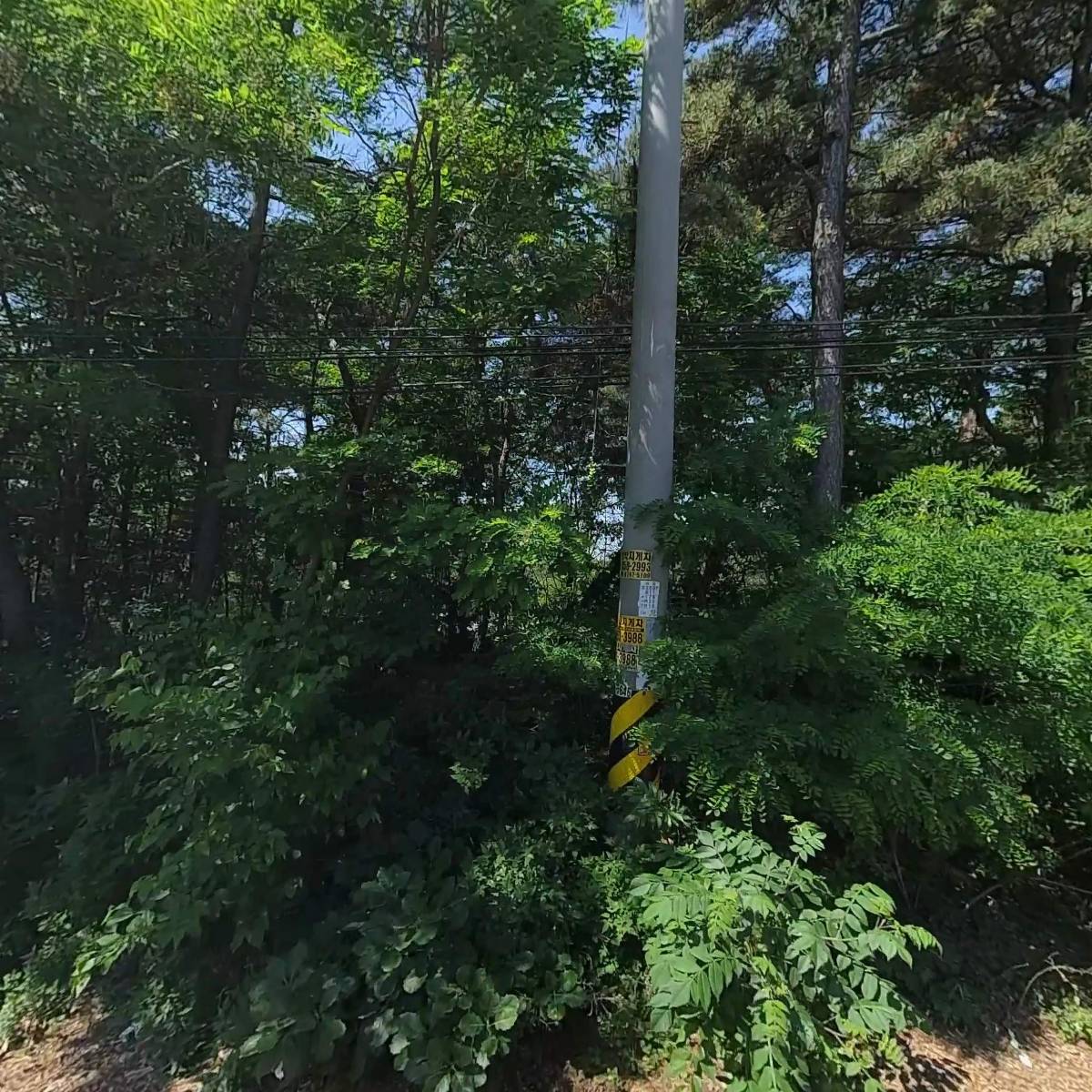 (주)금성보냉산업