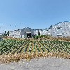 (주)선경에스티