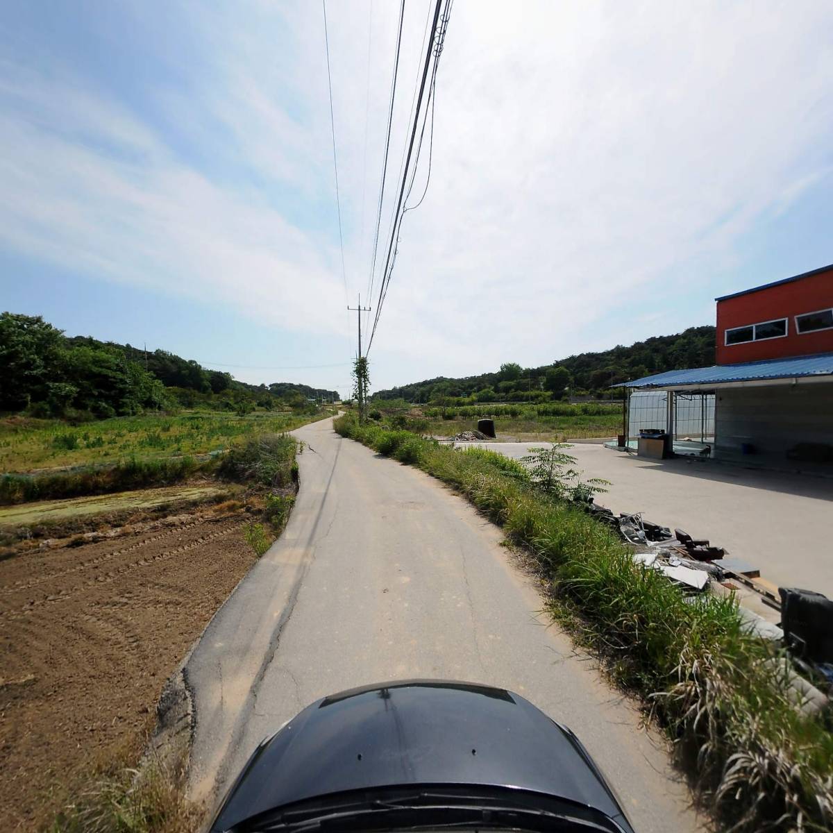 가우리_4