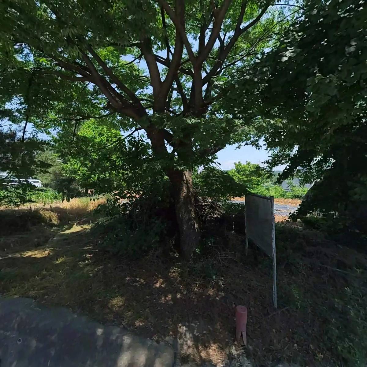 현대볼트