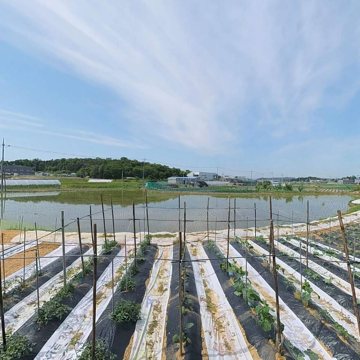 주식회사 유성패키지