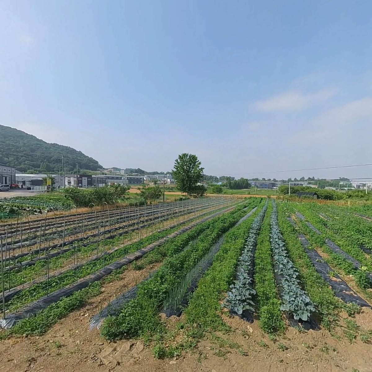 상우건설(주)