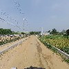 남정호(도이리)_2