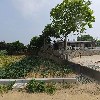 남정호(도이리)_3