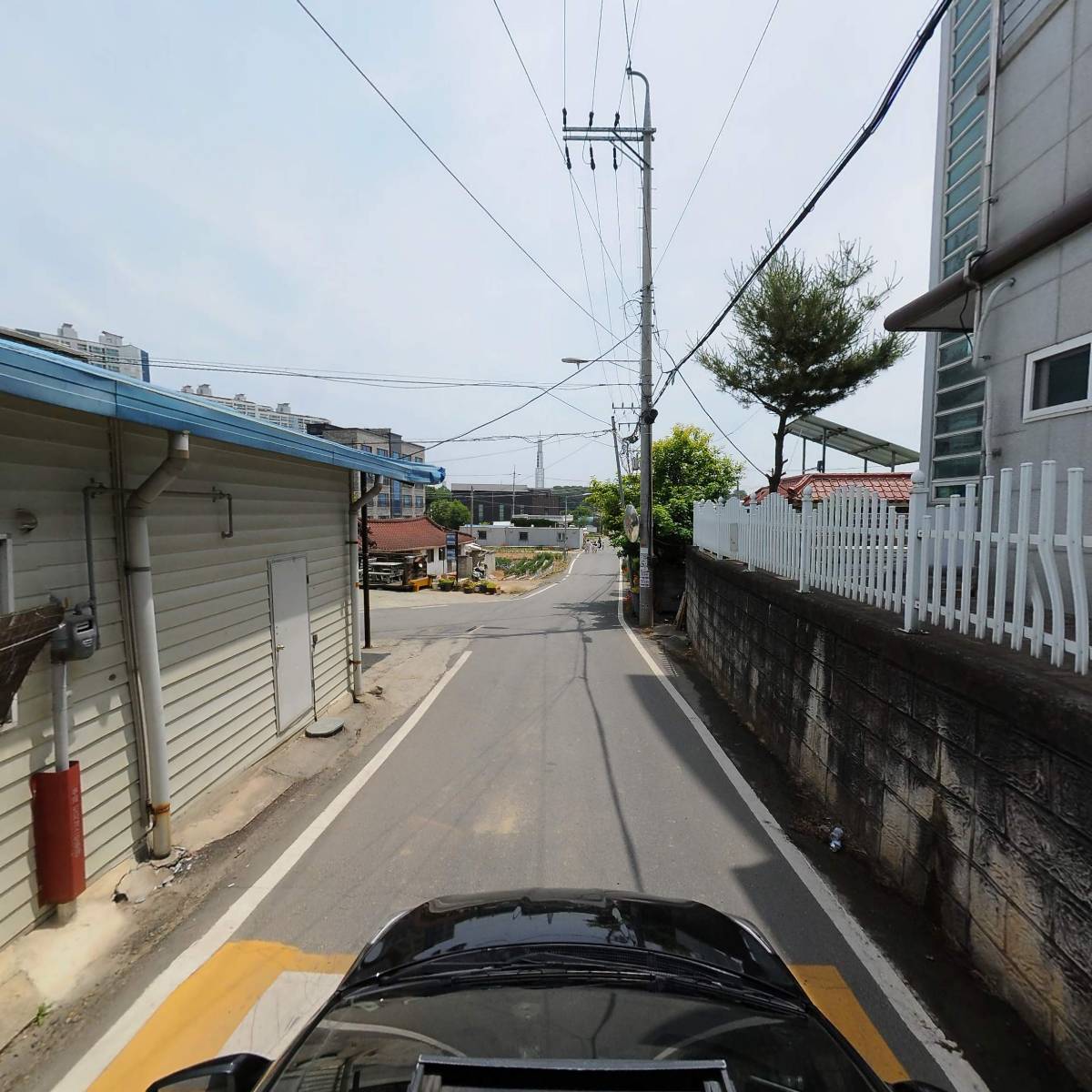 파랑새유치원_4