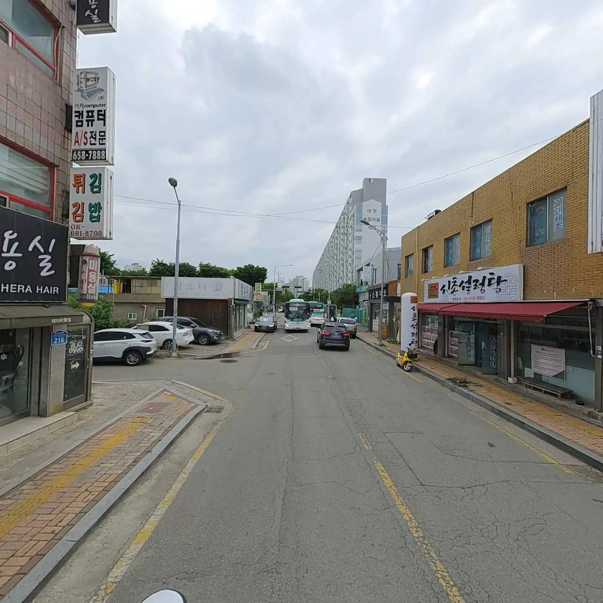 히마와리_2