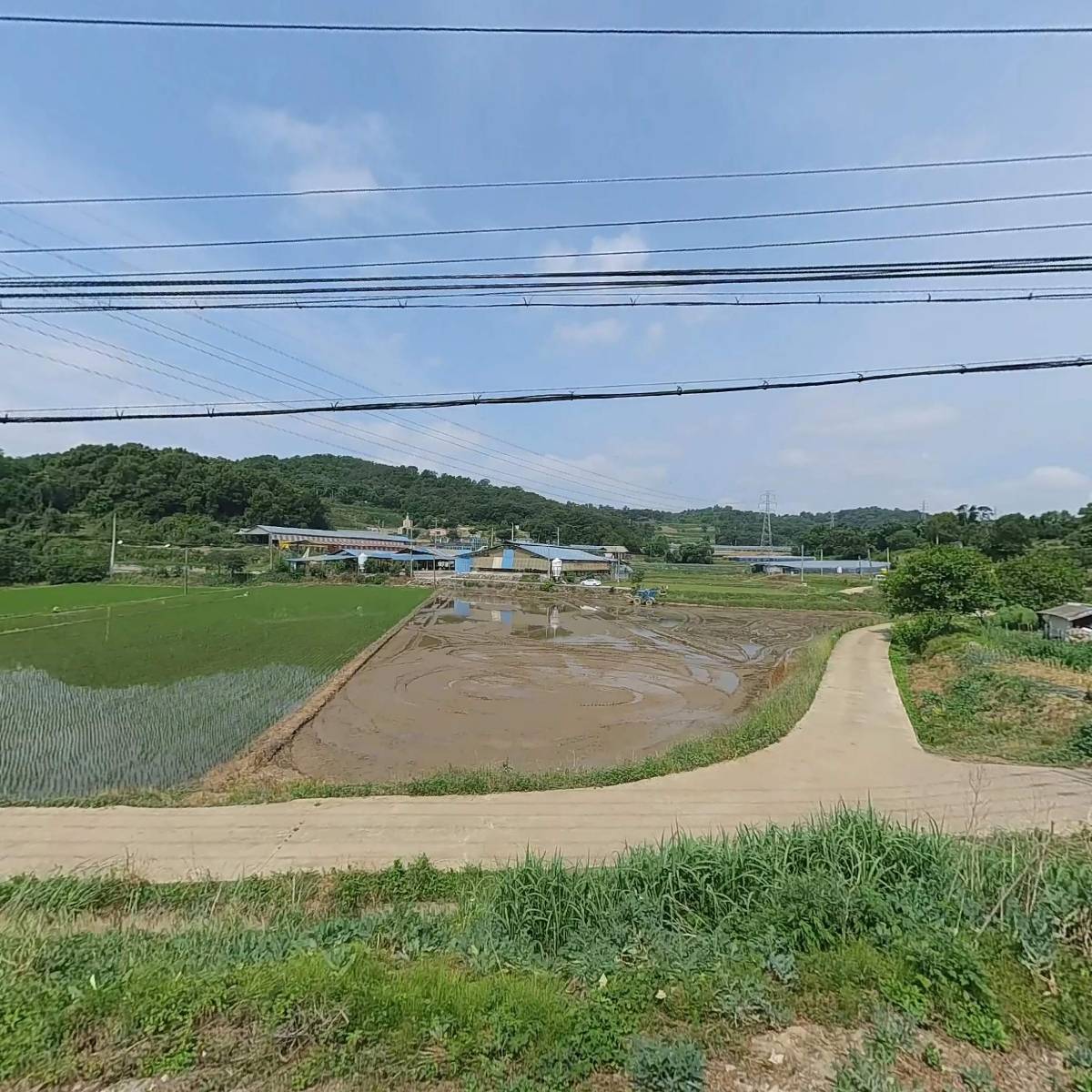 주식회사 에스에이에프