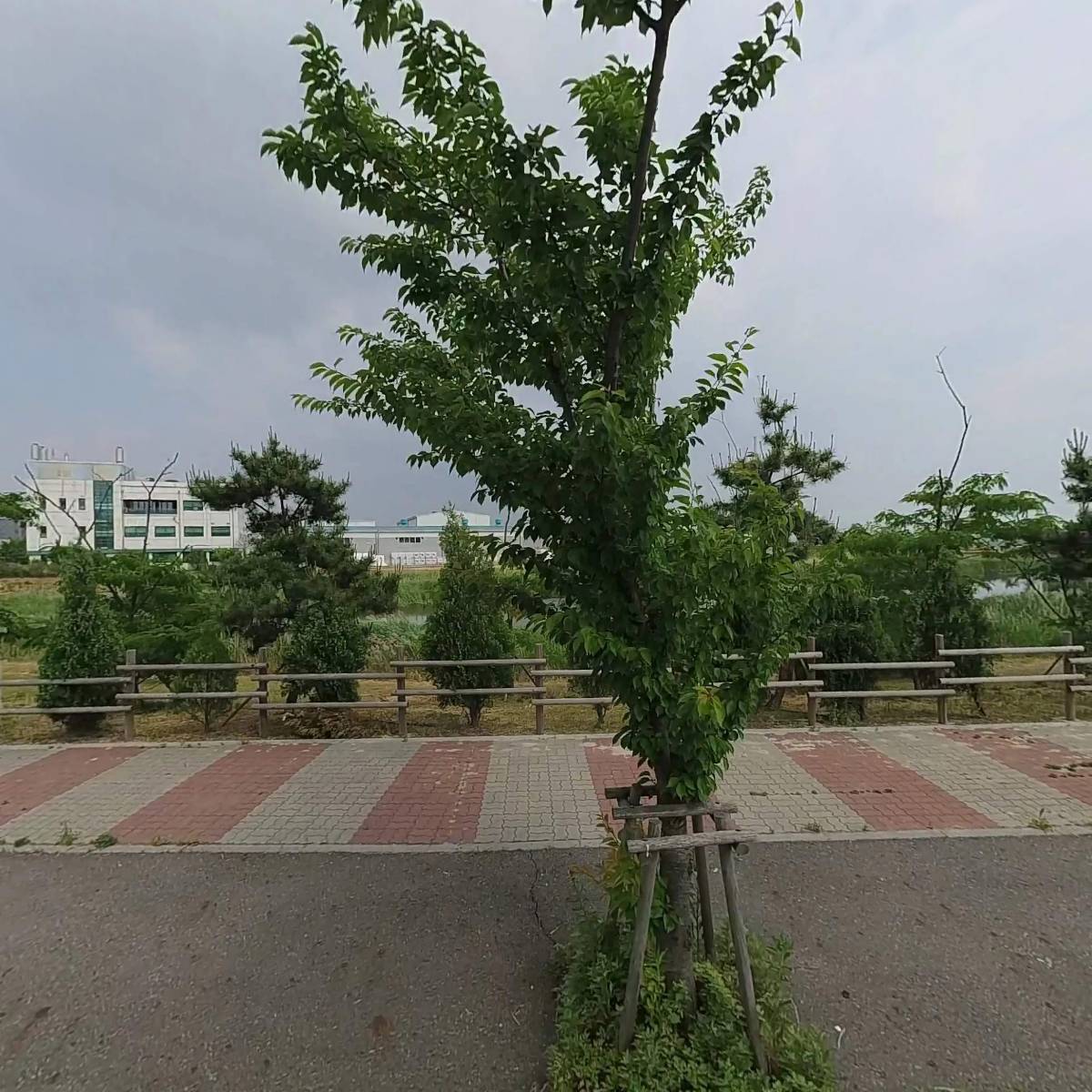 주식회사 칼린