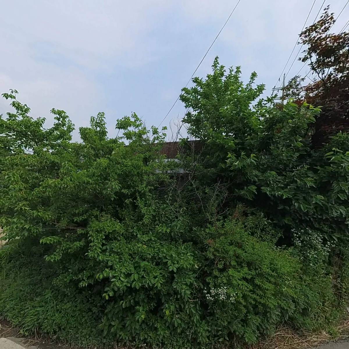 주식회사 맥본 (Mac-Bon Co.,Ltd.)_3