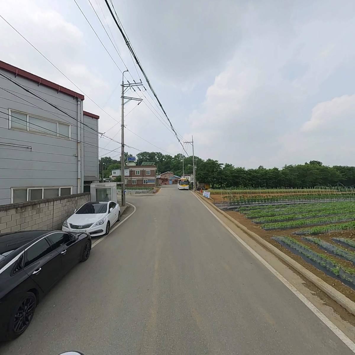 주식회사 엔티티_2