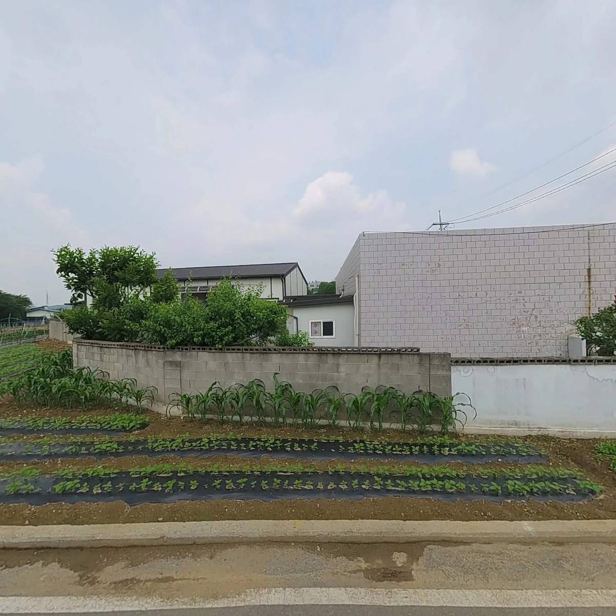 주식회사 엔티티_3
