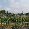 주식회사 그린팩코리아(GREEN PACK KOREA Co.,Ltd)_3