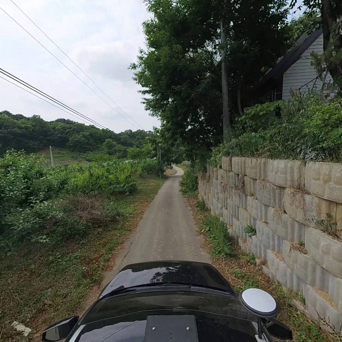가치자원_4