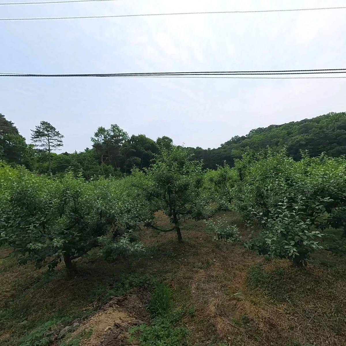 가치자원_3