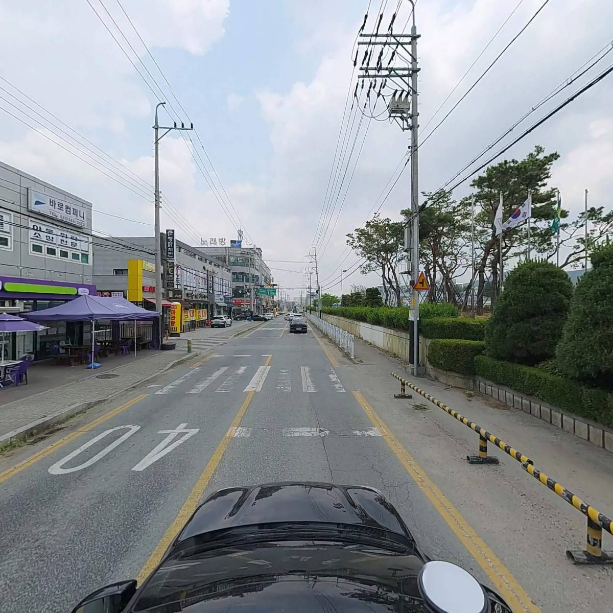 피스타치오_4
