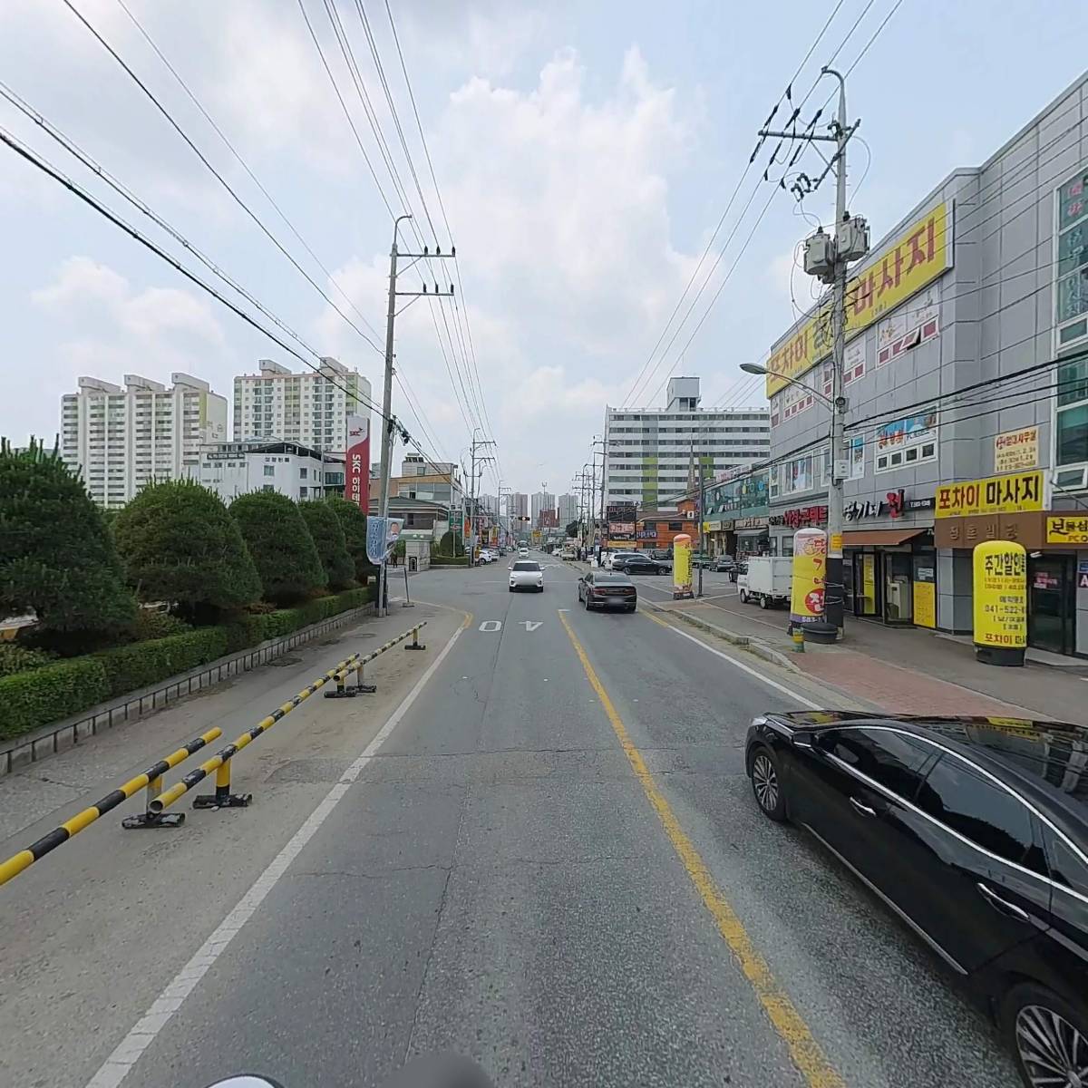 피스타치오_2