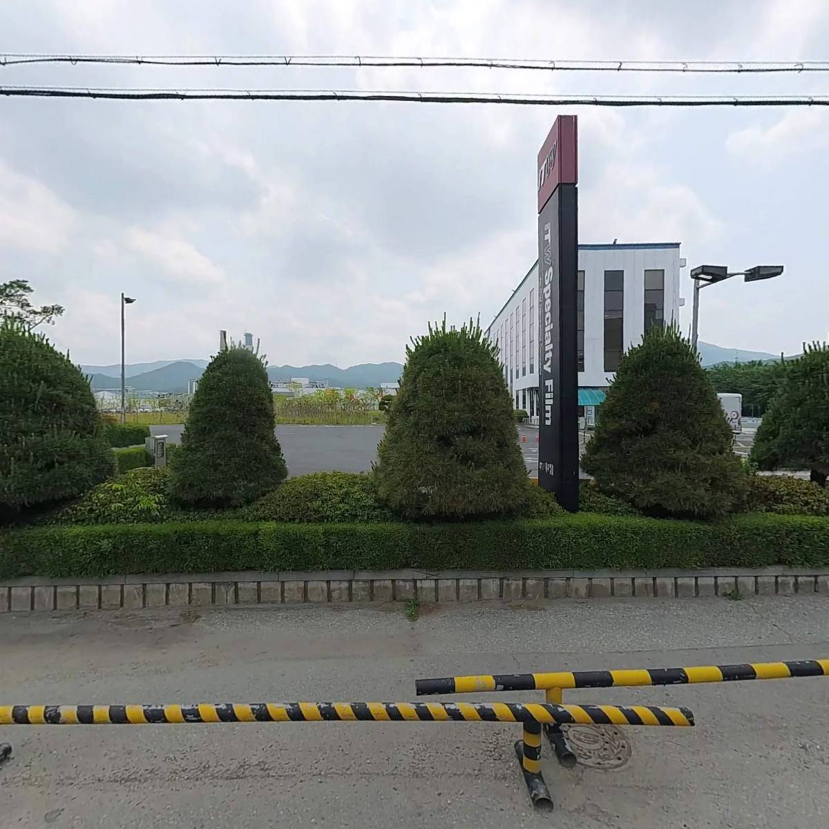 피스타치오