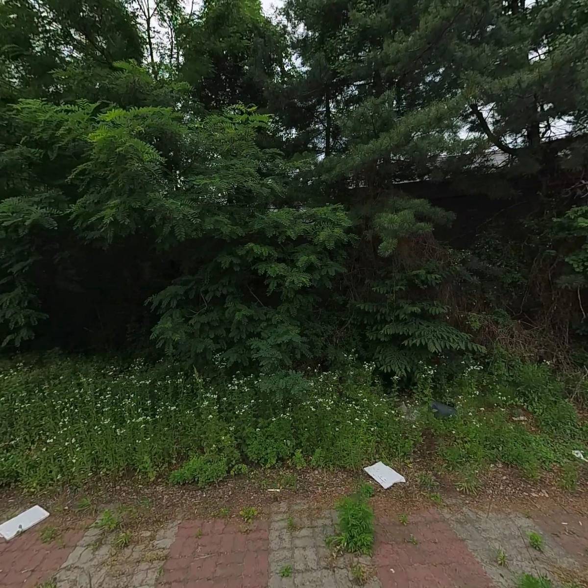주식회사 지스코