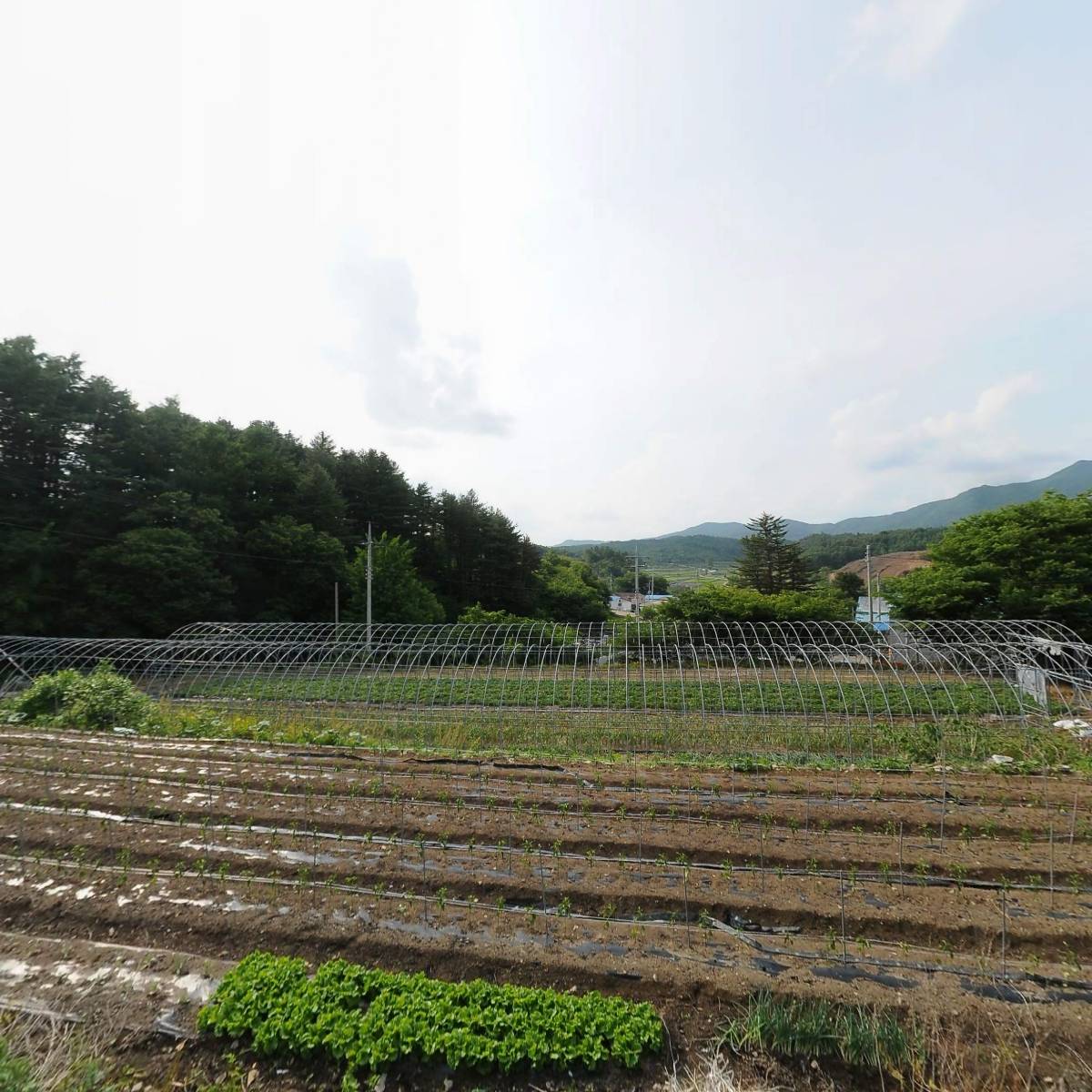 장수석기조합_3