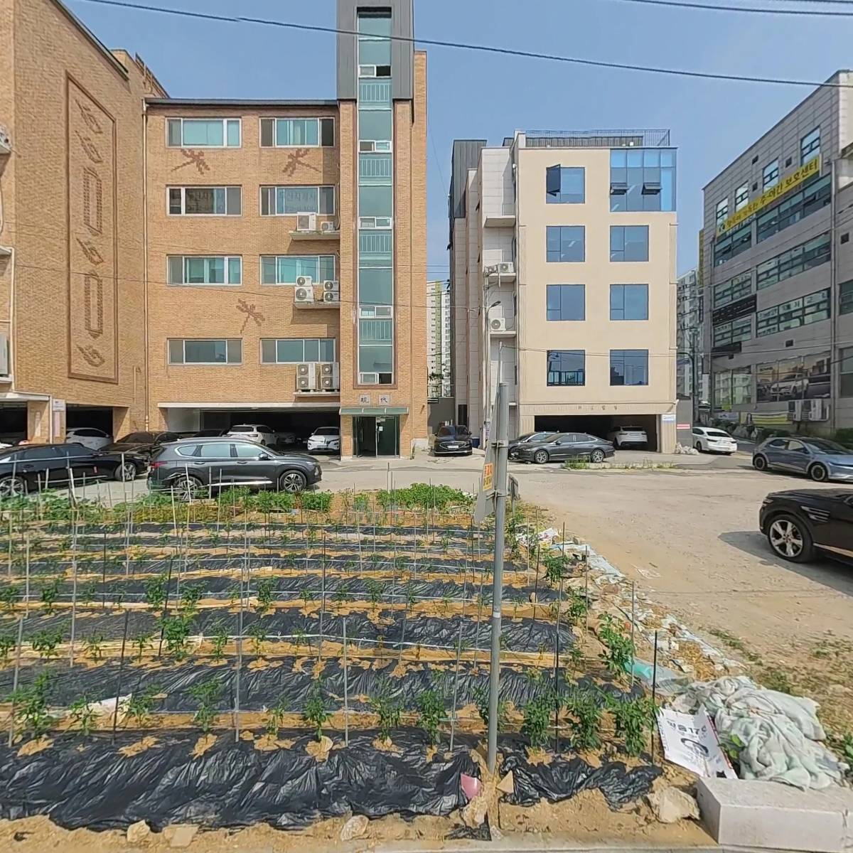 정해동_3