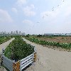 시너지스트
