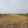 주식회사 세윤_3